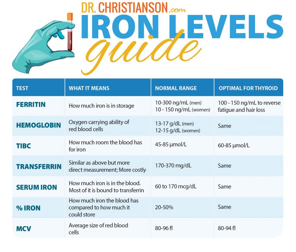 A Deep Dive On Iron Leading Authority in Naturopathic Endocrinology